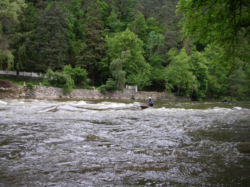 IMGP1460